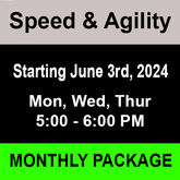 Speed Training Monthly - Ray Dabney